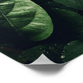 Deep Green Oerwoud Leaf Foliage Poster (Hoek)
