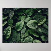 Deep Green Oerwoud Leaf Foliage Poster (Voorkant)