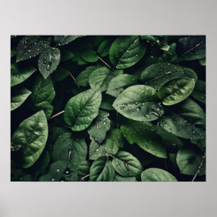 Deep Green Oerwoud Leaf Foliage Poster