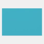 Deep Indigo, Aqua, Red & Shades of Blue Plaid Inpakpapier Vel (Voorkant 2)