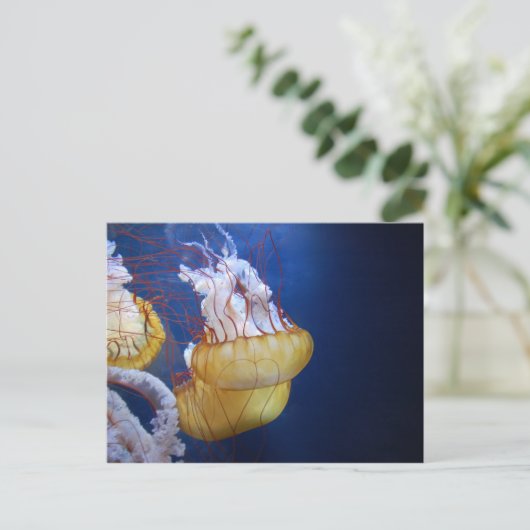 Deep Ocean Jelly Fish Briefkaart (Staand voorkant)
