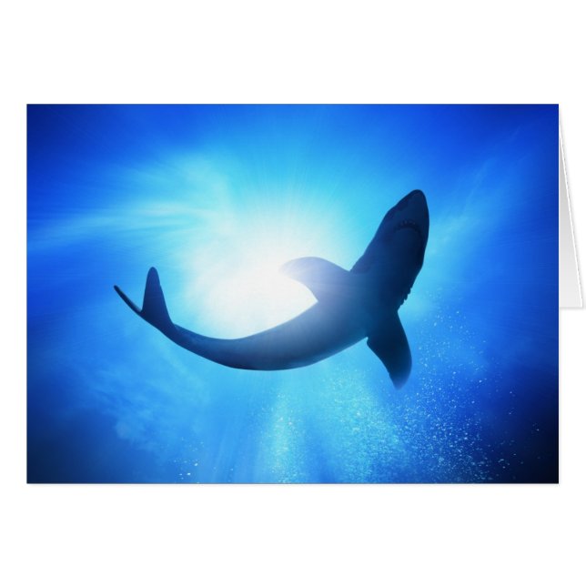 Deep Ocean Shark Silhouette (Voorkant Horizontaal)