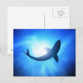 Deep Ocean Shark Silhouette Briefkaart (Voorkant / Achterkant)