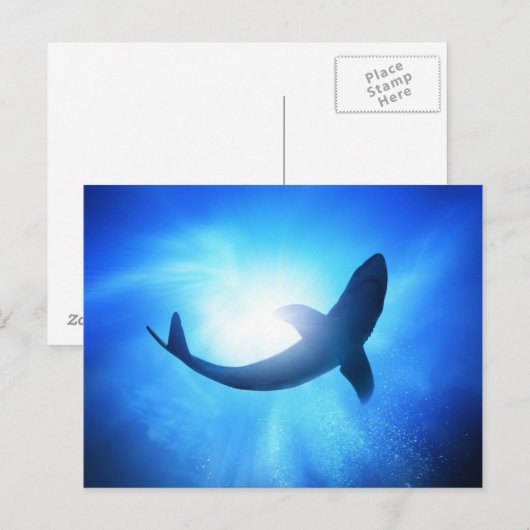 Deep Ocean Shark Silhouette Briefkaart (Voorkant / Achterkant)