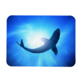 Deep Ocean Shark Silhouette Magneet (Horizontaal)