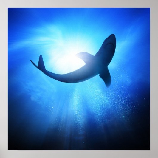 Deep Ocean Shark Silhouette Poster (Voorkant)