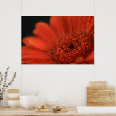 Deep Oranje Gerbera Poster (Keuken)
