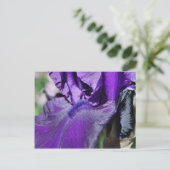 Deep Paars Bearded Iris Flower Petal Briefkaart (Staand voorkant)