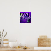 Deep Paars Bearded Iris Flower Petal Poster (Keuken)