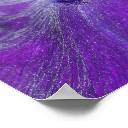 Deep Paars Bearded Iris Flower Petal Poster (Hoek)