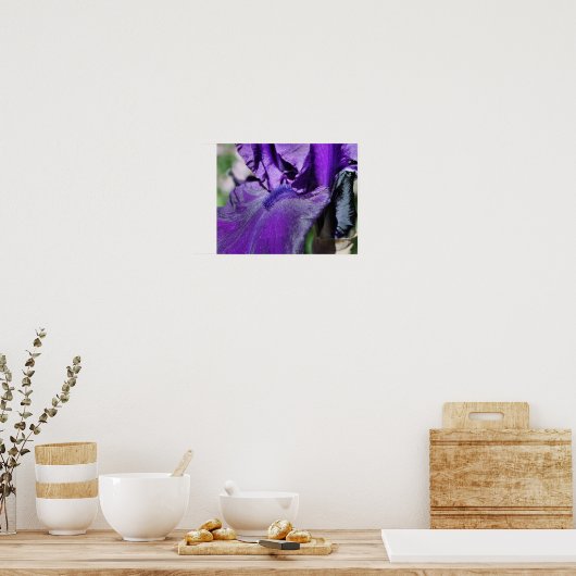 Deep Paars Bearded Iris Flower Petal Poster (Keuken)