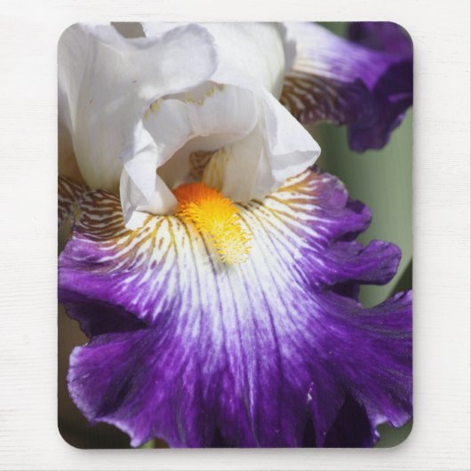 Deep Paars en White Iris Mousepad Muismat (Voorkant)