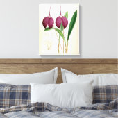 Deep Paars Orchid  Masdevallia Harryana Canvas Afdruk (Insitu (Slaapkamer))
