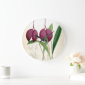 Deep Paars Orchid  Masdevallia Harryana Grote Klok (Huis)