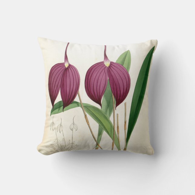 Deep Paars Orchid  Masdevallia Harryana Kussen (Voorkant)