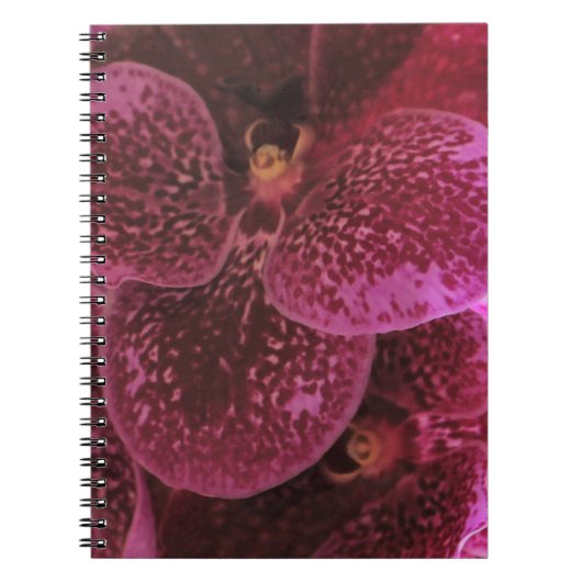 Deep Paars Orchid Spiral Notitieboek III (Voorkant)