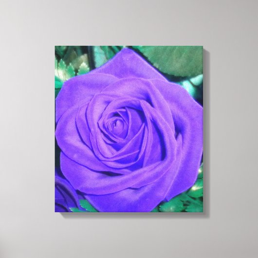 Deep Paars Roos Wrapped Canvas Afdruk (Voorkant)