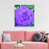 Deep Paars Roos Wrapped Canvas Afdruk (Insitu (Woonkamer))
