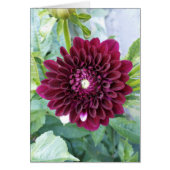 Deep Paarse Dahlia Bloem Blank Kaart (Voorkant)