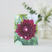 Deep Paarse Dahlia Flower Briefkaart (Staand voorkant)