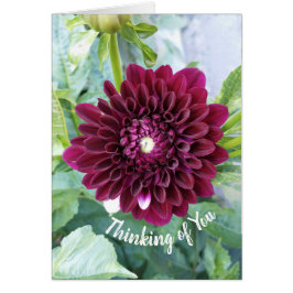 Deep Paarse Dahlia Flower Denken aan jou Kaart