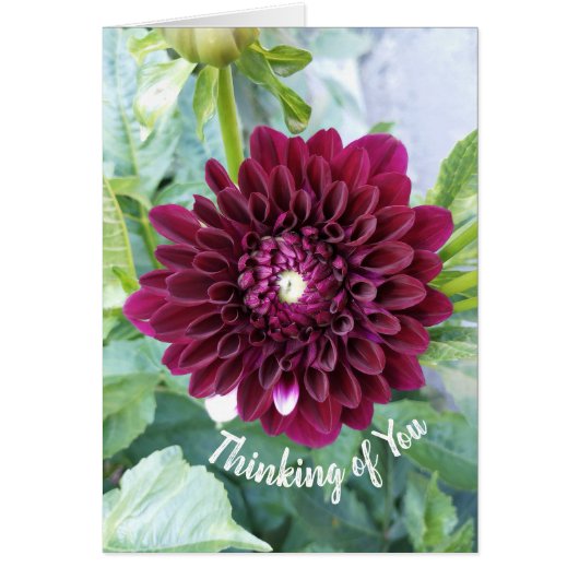 Deep Paarse Dahlia Flower Denken aan jou Kaart (Voorkant)
