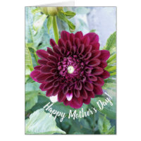 Deep Paarse Dahlia Flower Moederdag Kaart
