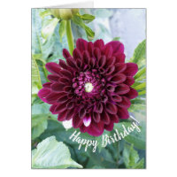 Deep Paarse Dahlia Flower Verjaardag Kaart