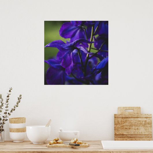 Deep Paarse Delphinium Close Up Poster (Keuken)
