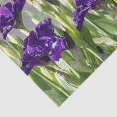 Deep Paarse Irisa Floral Tissuepapier (Detail)