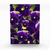 Deep Paarse Pansy Clusters: majestueuze schoonheid Fotoblokken (Voorkant)