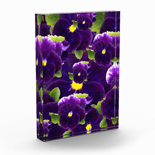 Deep Paarse Pansy Clusters: majestueuze schoonheid Fotoblokken (Links)