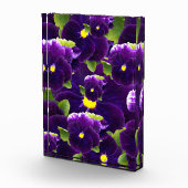Deep Paarse Pansy Clusters: majestueuze schoonheid Fotoblokken (Rechts)