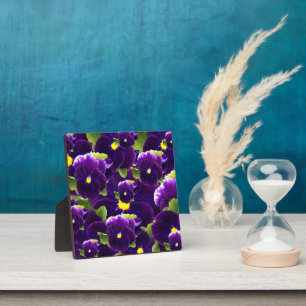 Deep Paarse Pansy Clusters: majestueuze schoonheid Fotoplaat