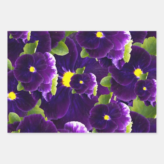 Deep Paarse Pansy Clusters: majestueuze schoonheid Inpakpapier Vel (Voorkant 3)