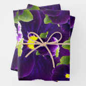 Deep Paarse Pansy Clusters: majestueuze schoonheid Inpakpapier Vel (In situ)