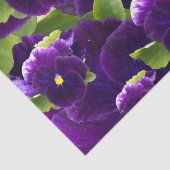 Deep Paarse Pansy Clusters: majestueuze schoonheid Tissuepapier (Detail)