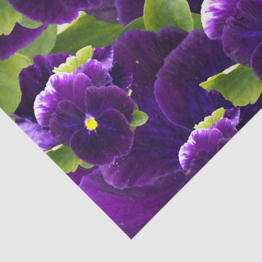 Deep Paarse Pansy Clusters: majestueuze schoonheid Tissuepapier (Detail)