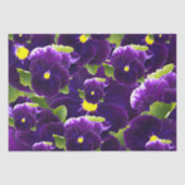 Deep Paarse Pansy Clusters: majestueuze schoonheid Tissuepapier (Voorkant)