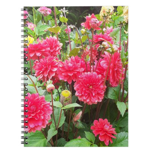 Deep Pink Dahlias Spiral Notitieboek (Voorkant)