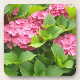 Deep Pink Hydrangeas Drankjes Onderzetter