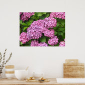 Deep Pink Hydrangeas Poster (Keuken)
