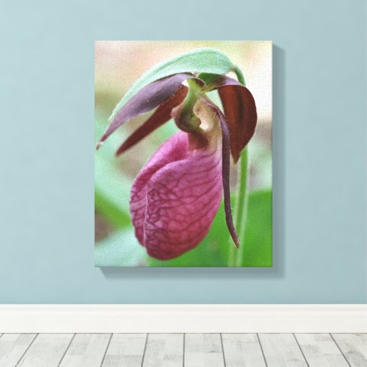 Deep Pink Lady Slipper Orchid Flower Canvas Afdruk (Insitu (Houten vloer))