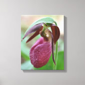 Deep Pink Lady Slipper Orchid Flower Canvas Afdruk (Voorkant)