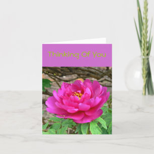 "DEEP PINK PEONY / DENKEN AAN JOU" NOTECARD KAART