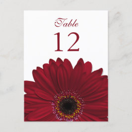 Deep Red Gerbera Daisy Tafelnummer Kaart Flat