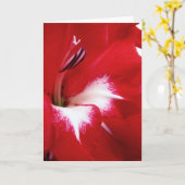 Deep Red Gladiolus Wenskaart Kaart (Gele Bloem)