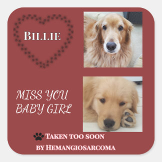 Deep Red Hemangiosarcoma Tribute Square Sticker