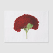  Deep Red Hydrangea Flower Floral Tissuepapier (Voorkant)