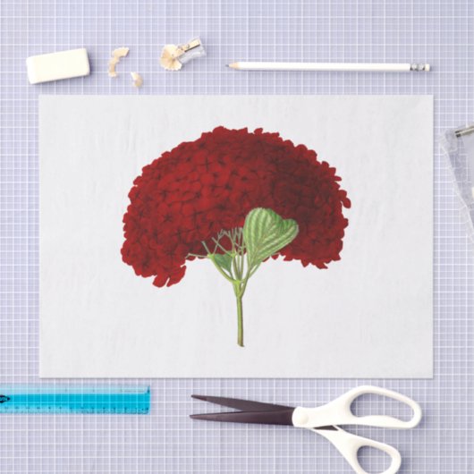 Deep Red Hydrangea Flower Floral Tissuepapier (Craft)